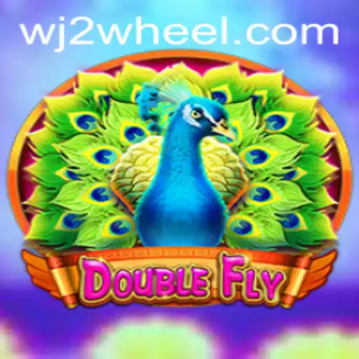 Exploring DoubleFly A Thrilling New Game Experience